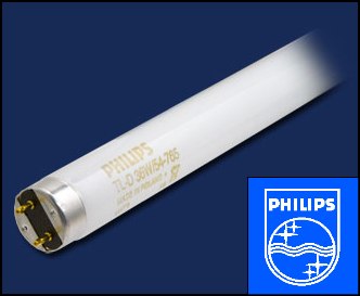 PHILIPS     | G13  L36/18  TL-D 960lm d26 x1200   Philips 0072754