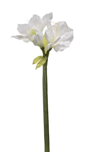 Euroflor | 66474.01   AMARYLLIS STEM X3 L=75cm Euroflor