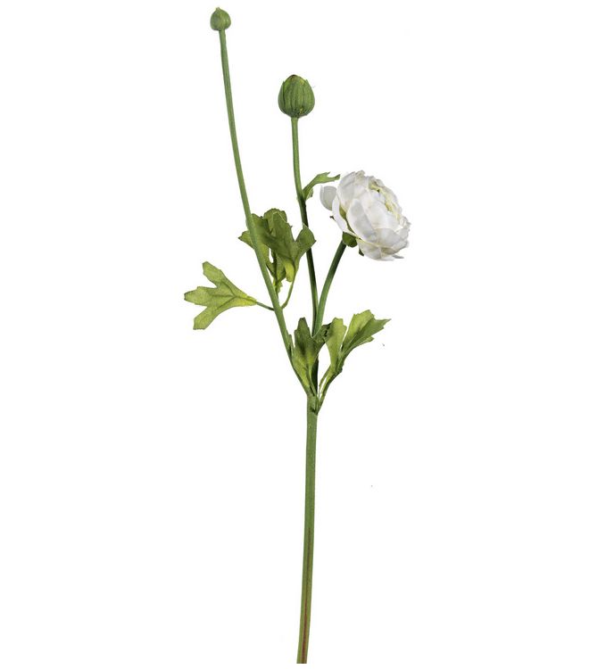 Euroflor | 66747.01 blanco  RANUNCULUS STEM Euroflor