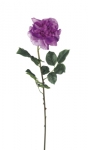 Euroflor | 58413.01 purpura EQUADOR ROSE STEM H80cm Euroflor